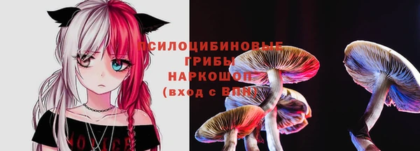 ECSTASY Дмитриев