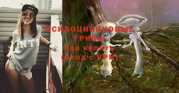 ECSTASY Дмитриев