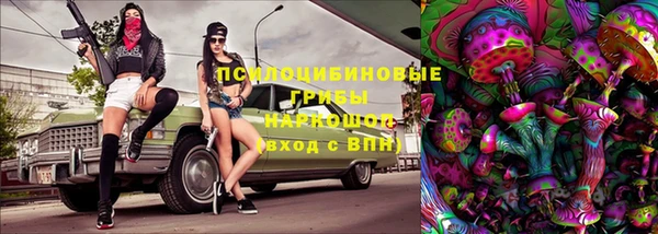 ECSTASY Дмитриев