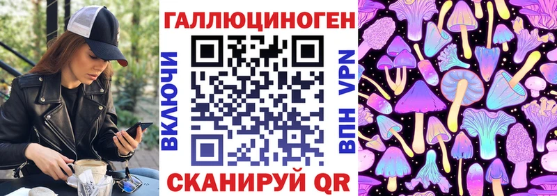Купить закладки  Спас-Клепики  Галлюциногенные грибы Psilocybine cubensis 